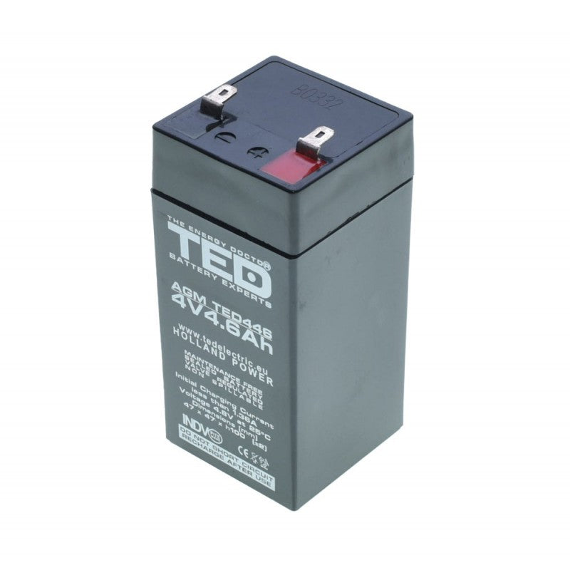 Acumulator Plumb - Acid 4V-4,6Ah TED - Frize