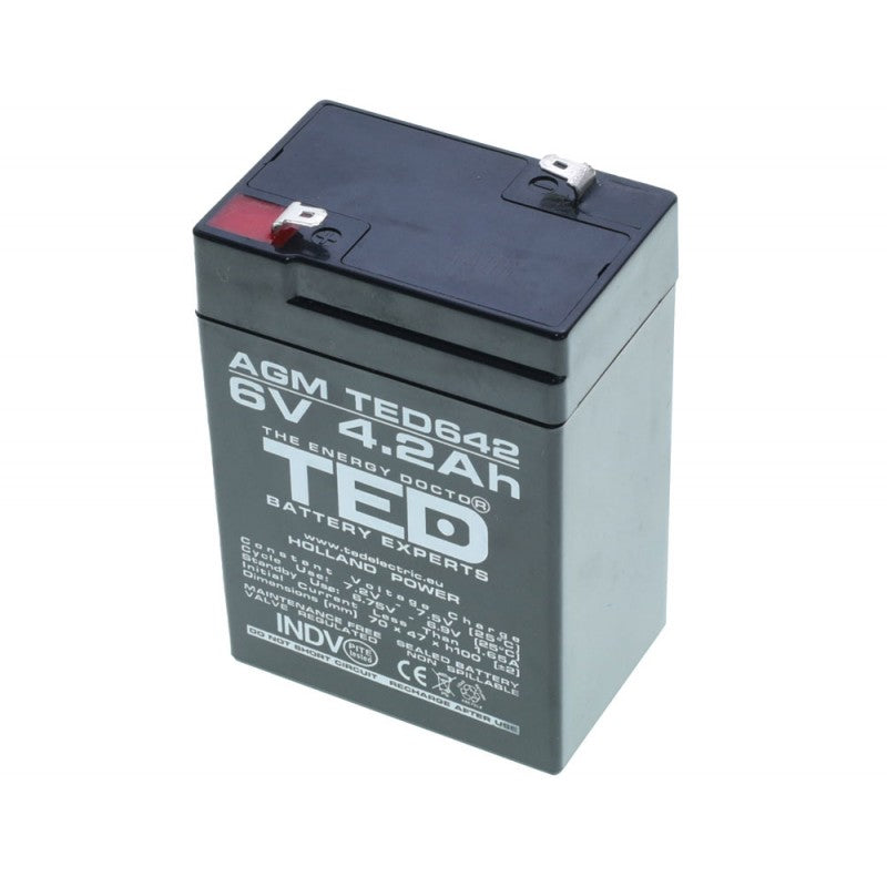 Acumulator Plumb - Acid 6V-4,2A TED - Frize