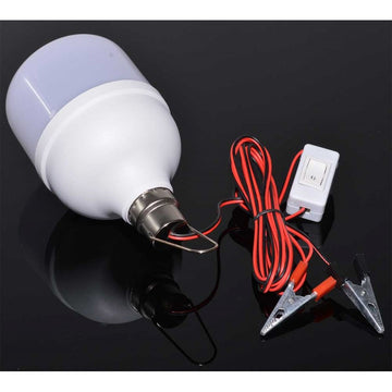 Bec 12V cu Led 12W/Clesti + Intrerupator - Frize