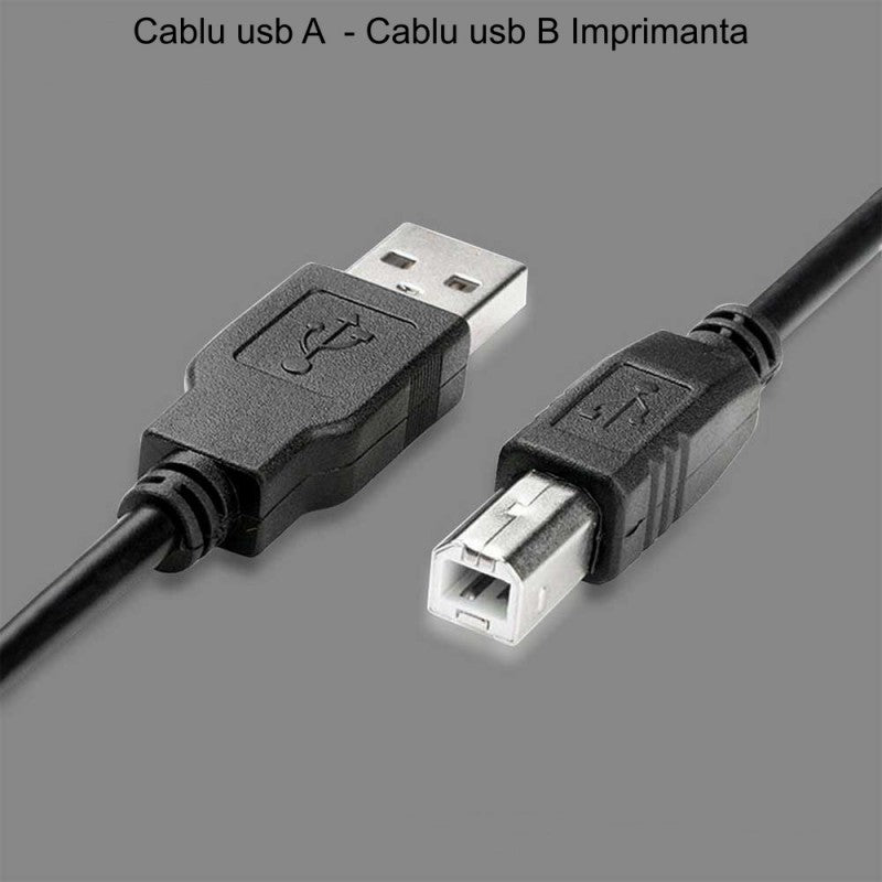 Cablu USB Tata-USB Imprimanta/5m - Frize