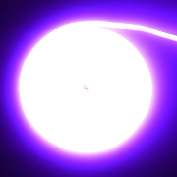 Banda LED COB Neon Violet Flexibilă 5m, 288 LED/m, IP65, 10W/m – Iluminare Decorativă pentru Interior și Exterior