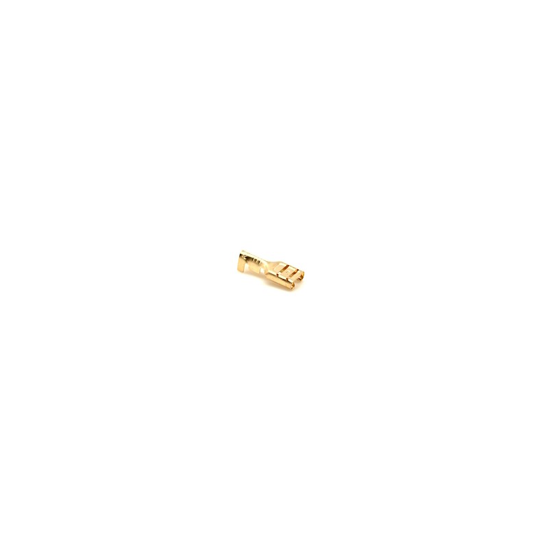 Papuc Electric de Alama Mama 6,3mm ,100buc/set - Frize