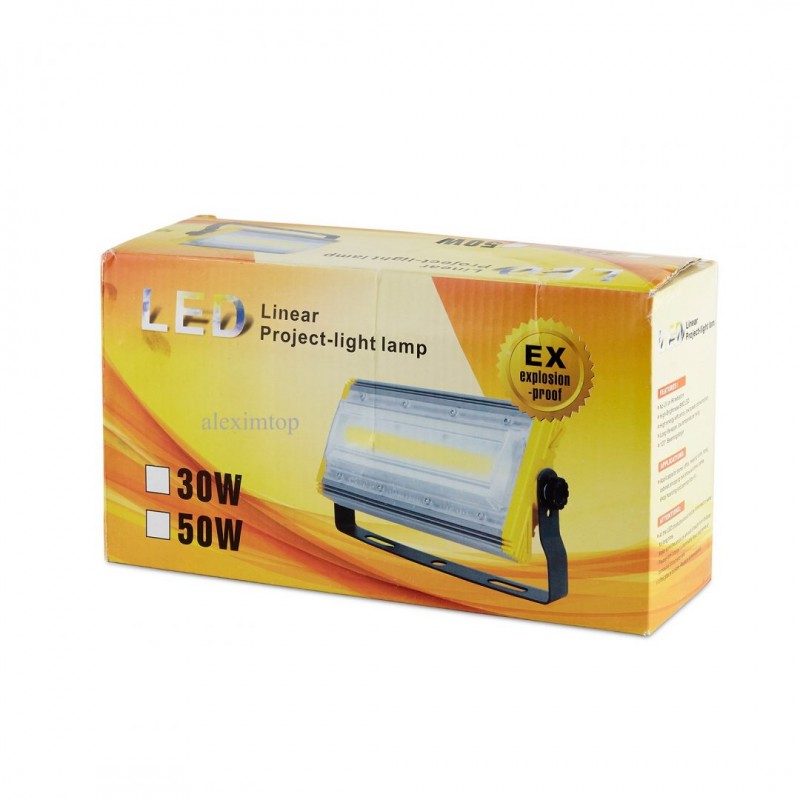 Proiector COB led 30W, ANTIEX-PROF - Frize