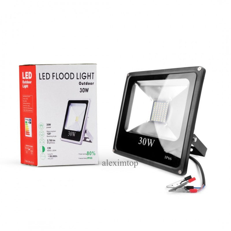 Proiector Slim cu Leduri SMD 12V/30W - Frize