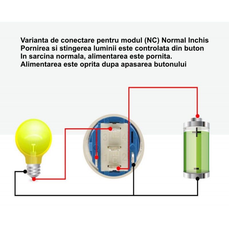 Push Buton Negru 19mm/Retinere cu Led Verde - Frize
