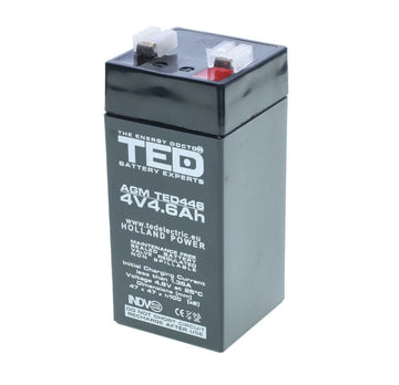 Acumulator Plumb - Acid 4V-4,6Ah TED - Frize