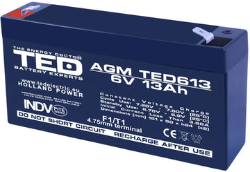 Acumulator Plumb - Acid 6V-13A TED - Frize