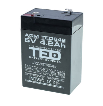 Acumulator Plumb - Acid 6V-4,2A TED - Frize