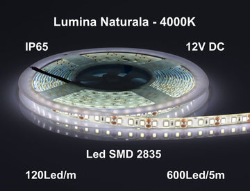 Banda Led 12V Exterior IP65- 120led/m, Alb-Natural 4000K, Rola/5m - Frize