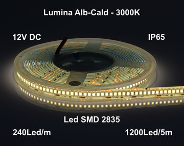 Banda Led 12V Exterior IP65- 240led/m, Alb-Cald 3000K, Rola/5m - Frize