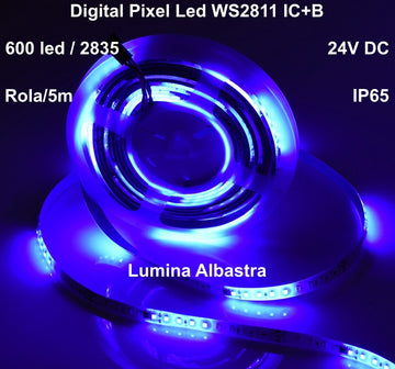 Banda Led 24V Albastru, Digital WS2811 IC+B, 120led/m - IP65 - Frize