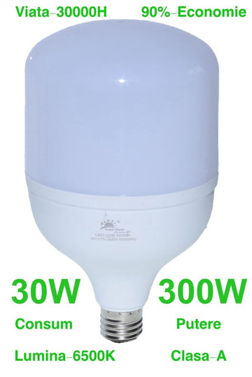 Bec Led de Putere 30W/6500K cu E27 - Frize