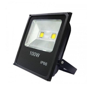 Proiector Slim cu Led SMD 220V/100W - Frize