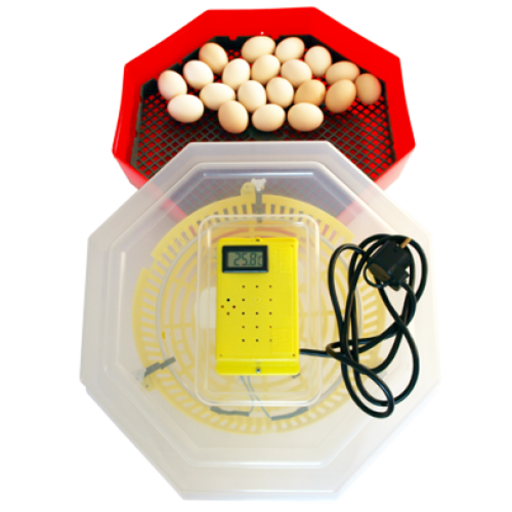 Incubator Cleo cu Termometru Integrat – Dispozitiv pentru Incubarea Ouălor cu Monitorizare Precisă a Temperaturi