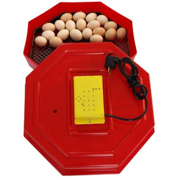 Incubator Cleo pentru Ouă – Dispozitiv Automat cu Control al Temperaturii și Umidității pentru Incubarea Profesională a Ouălor