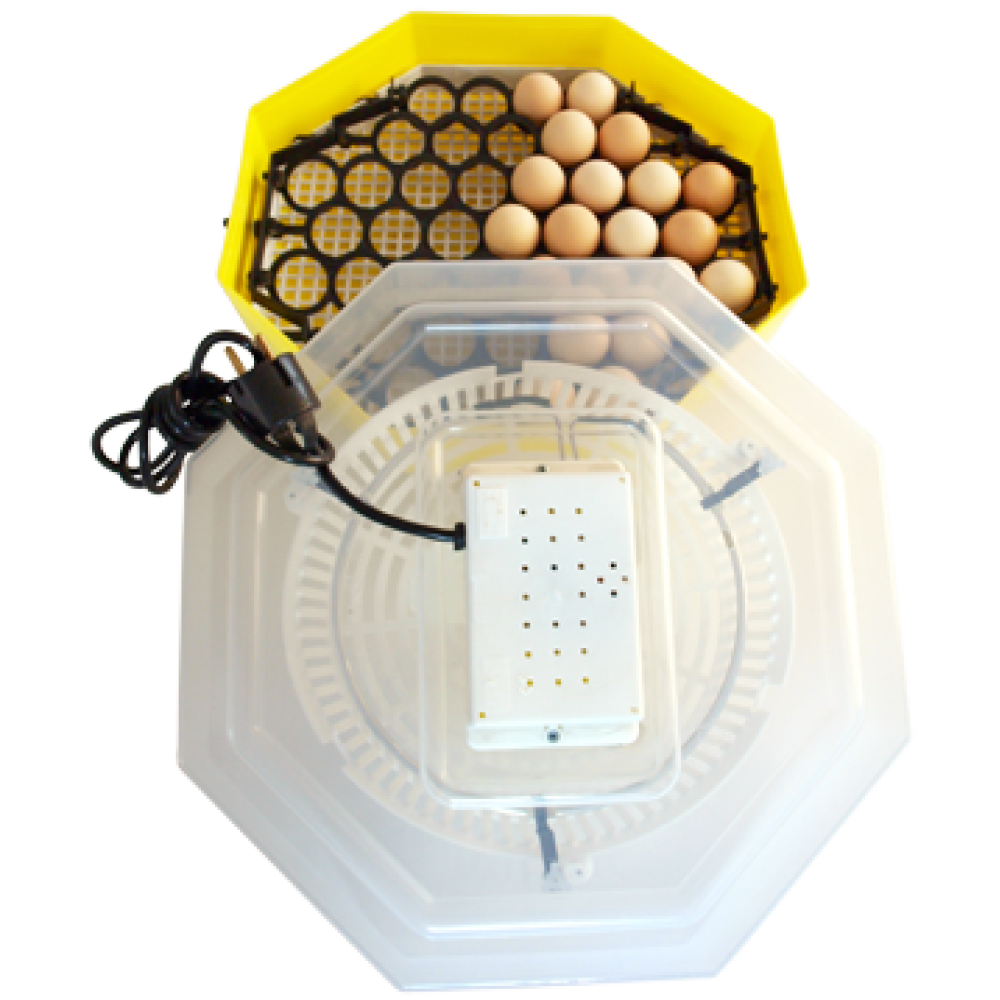 Incubator Cleo cu Dispozitiv de Întoarcere a Ouălor – Aparat pentru Incubarea Ouălor de Pasăre, Eficiență și Control Temperatura