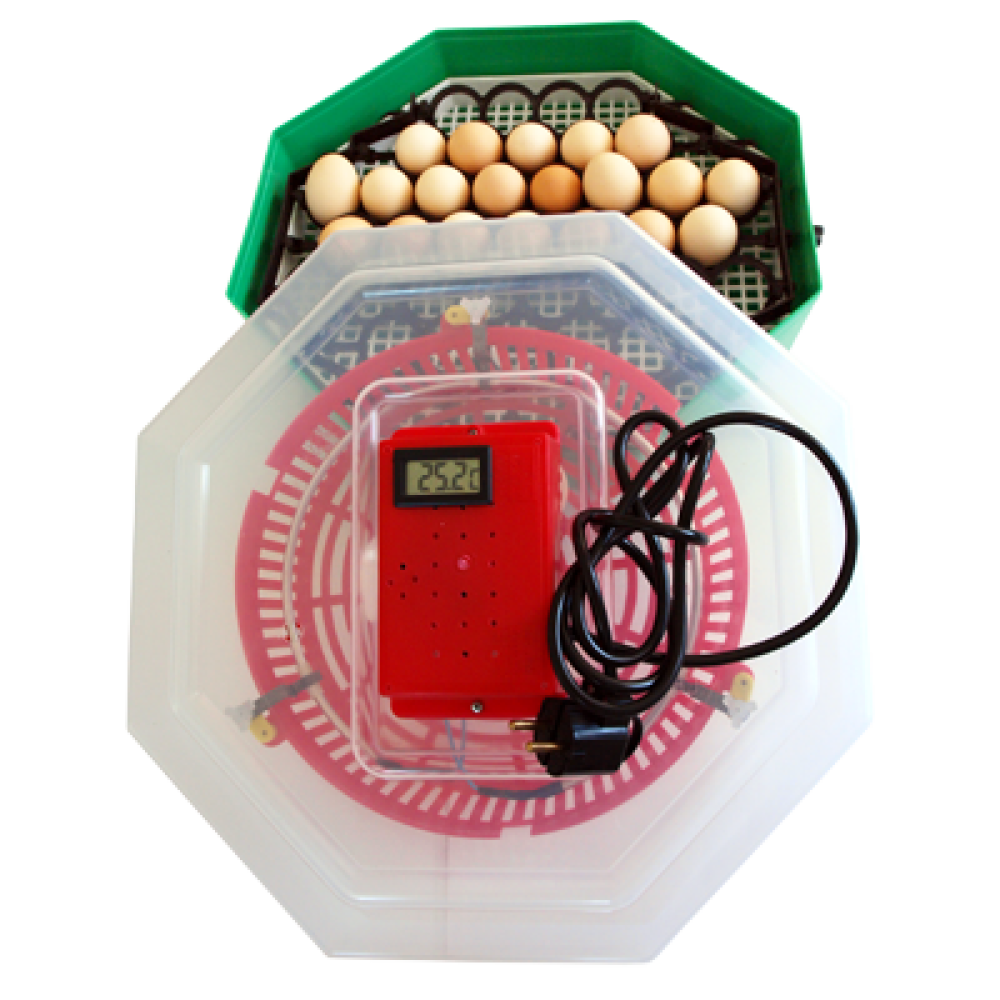 Cleo incubator with thermometer and egg turning device
