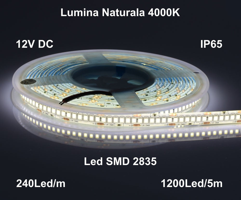 Banda Led 12V Exterior IP65- 240led/m, Alb-Natural 4000K, Rola/5m - Frize