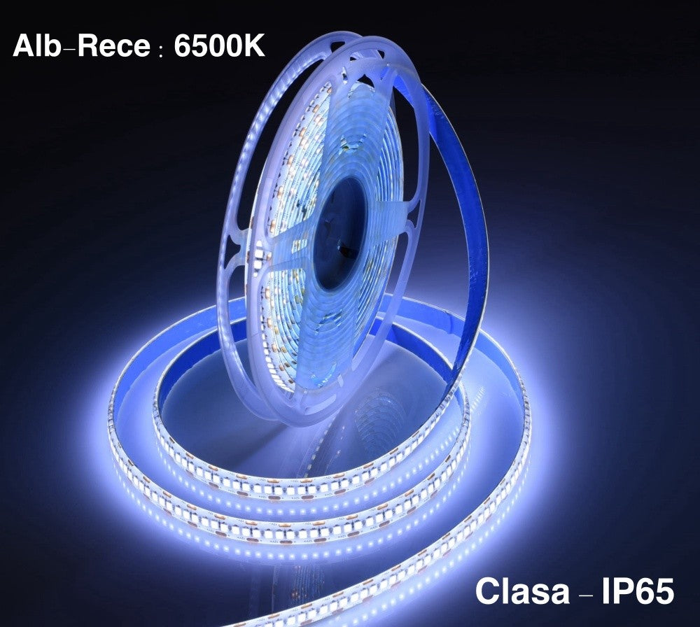 Banda Led 12V Exterior IP65- 240led/m, Alb-Rece 6500K, Rola/5m - Frize