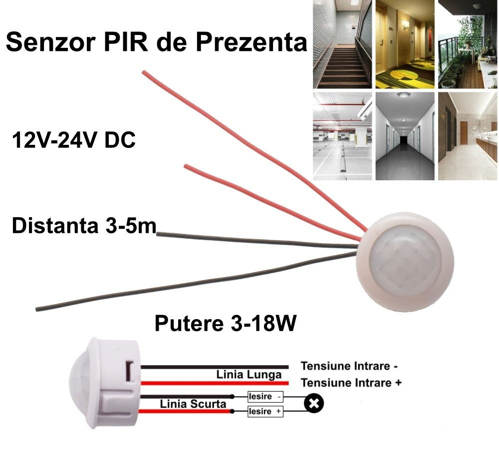 Senzor Pir 12-24V DC cu 4 Fire 25x20mm - Frize
